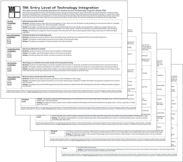 TIM Descriptors by Level | TIM