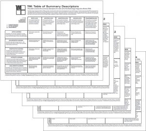 TIM Summary and Extended Descriptors | TIM