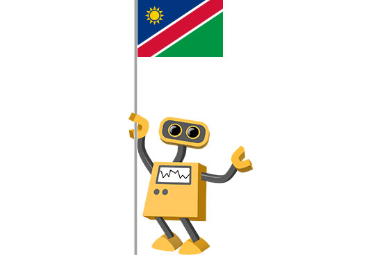 Robot 39-NA: Flag Bot, Namibia