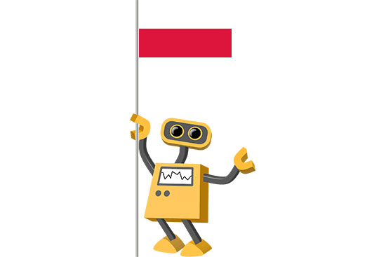 Robot 39-PL: Flag Bot, Poland