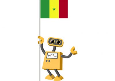 Robot 39-SN: Flag Bot, Senegal