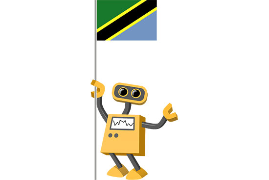 Robot 39-TZ: Flag Bot, Tanzania