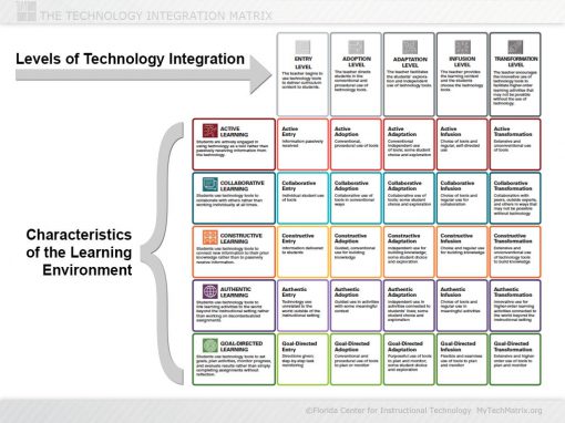TIM Levels and Characteristics Slide | TIM