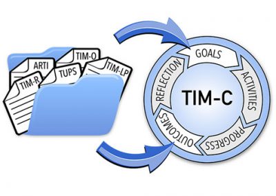 Data Sources for TIM-C