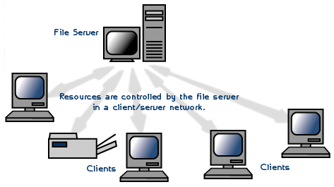 peer to peer network setup