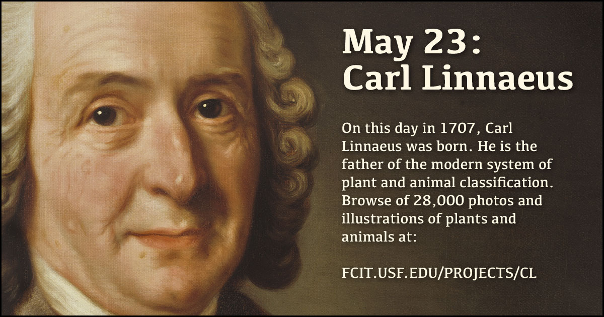 May 23: Carl Linnaeus | FCIT