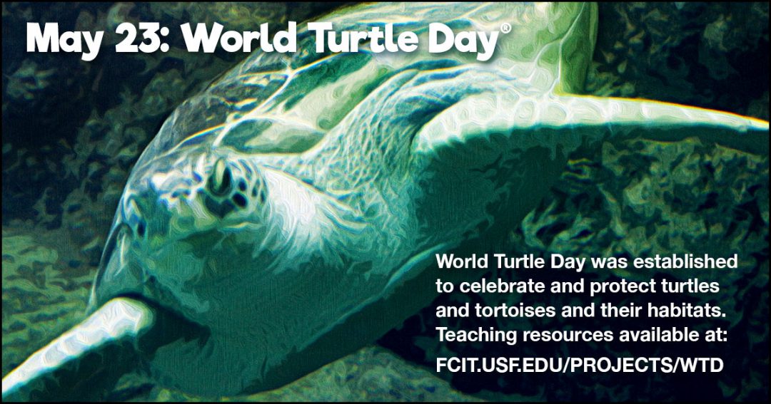 May 23 World Turtle Day FCIT