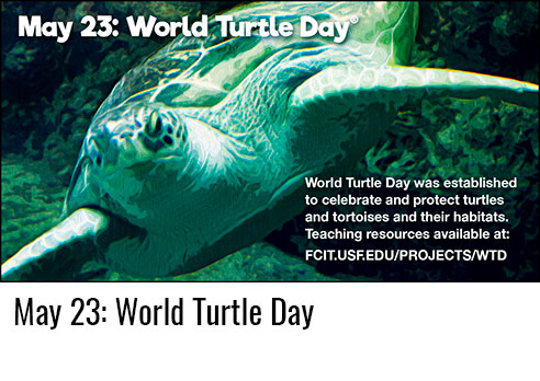May 23: World Turtle Day