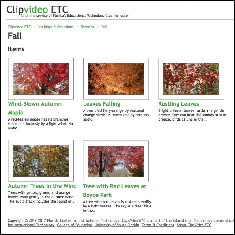 September: Autumn Begins | FCIT