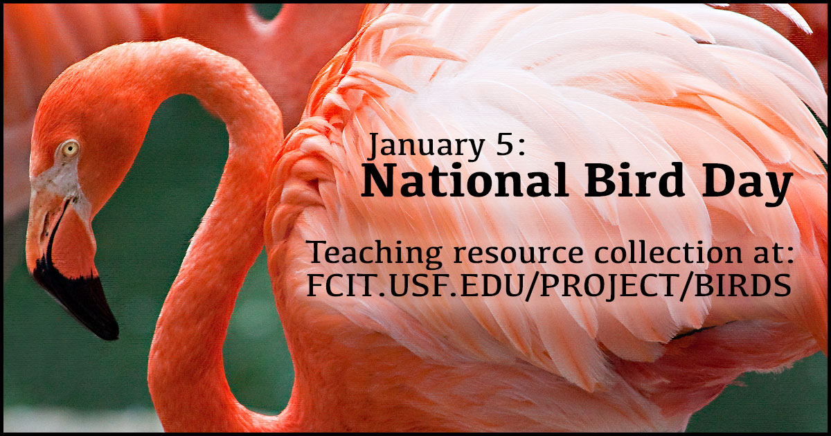 January 5 National Bird Day FCIT