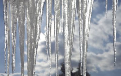 Photo of the Month: Icicles