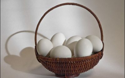 Photo of the Month: All Eggs in One Basket