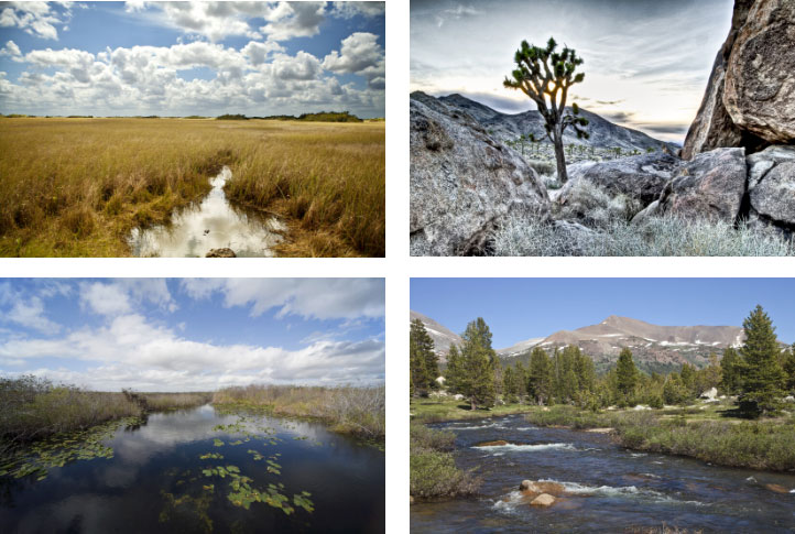 Photos of the Month: The Great Outdoors